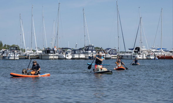 Stand_Up_Paddle_med_hund.png